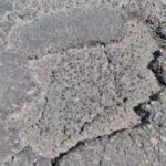 bache-1-150x150